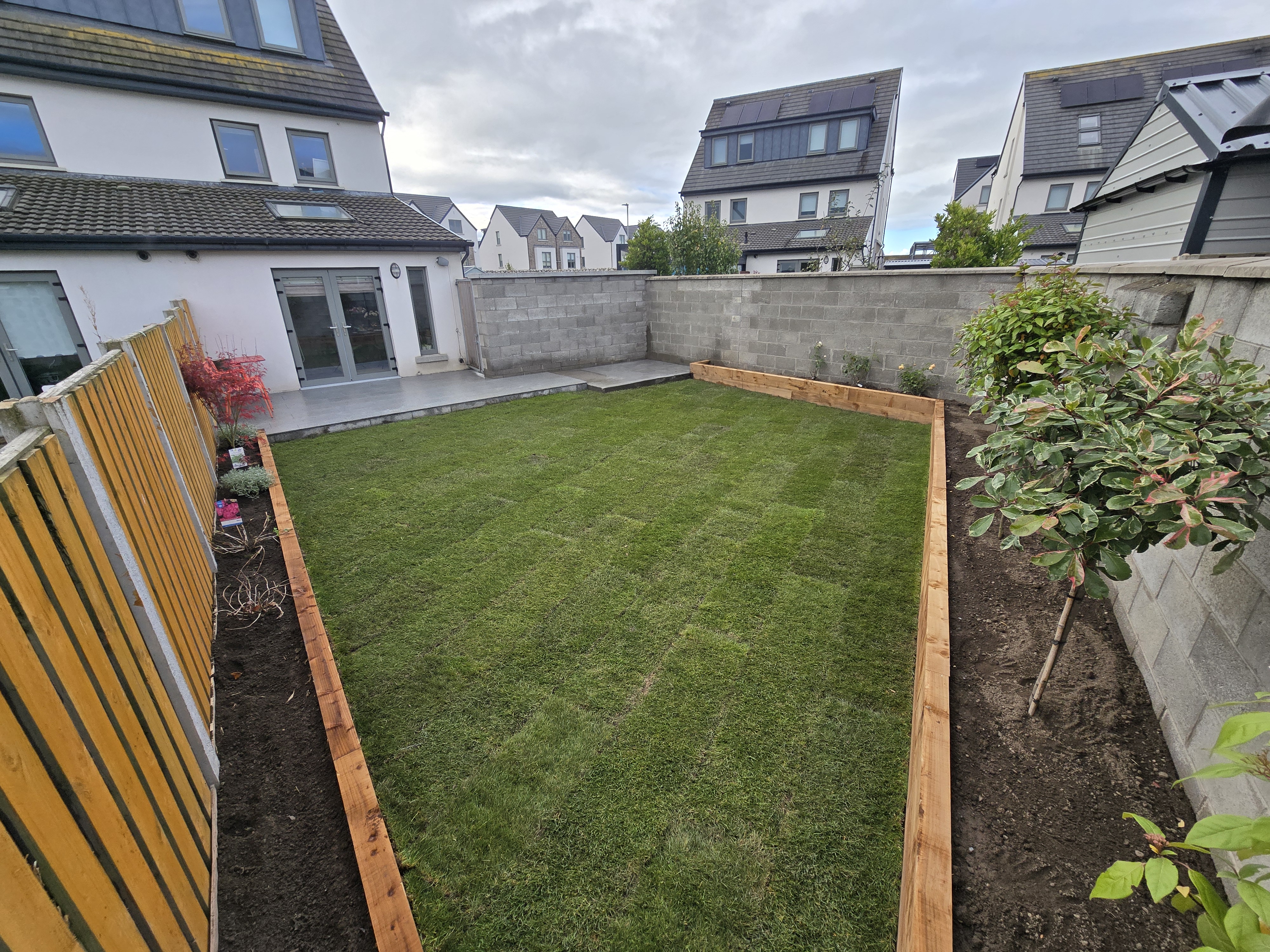 Garden 1